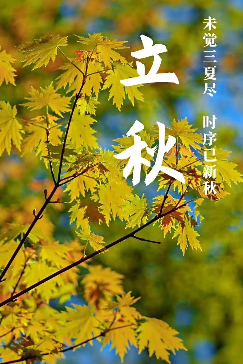 立秋風起，心自清涼