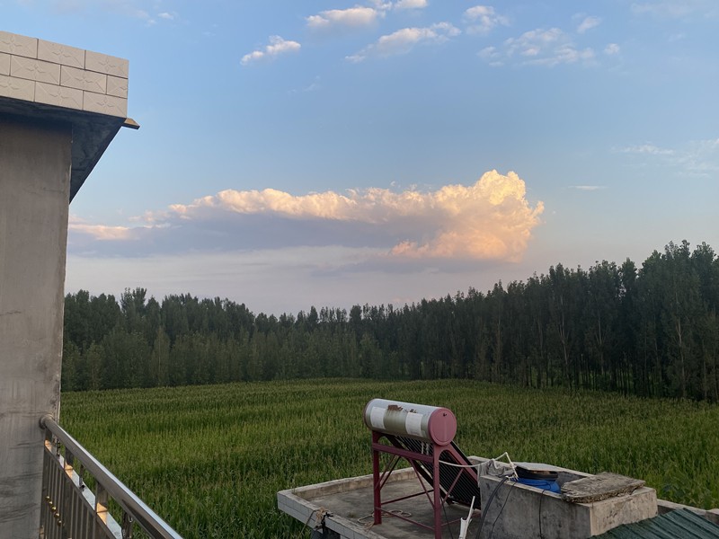 家無數次治愈我