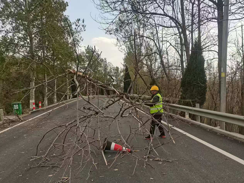 圖片13_副本 圖片13_副本