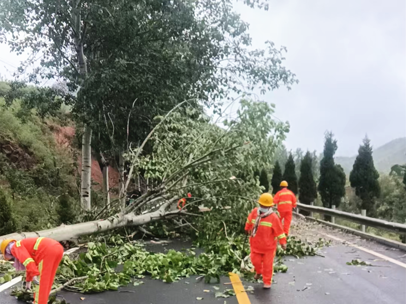 圖片3_副本 圖片3_副本