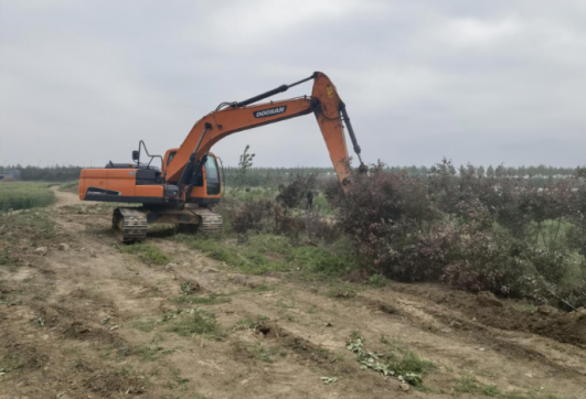 郯城縣李莊中環路項目施工進展